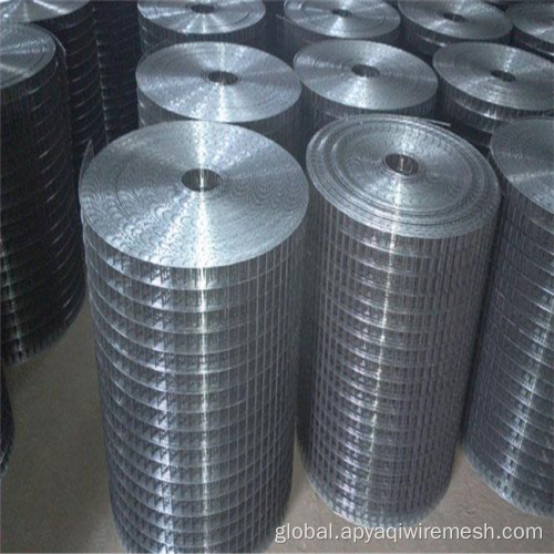 Bird Cage Welded Wire Mesh Rolls YQ Factory Supply 10*10 Galvanized Welded Iron Wire Mesh for Cages Factory